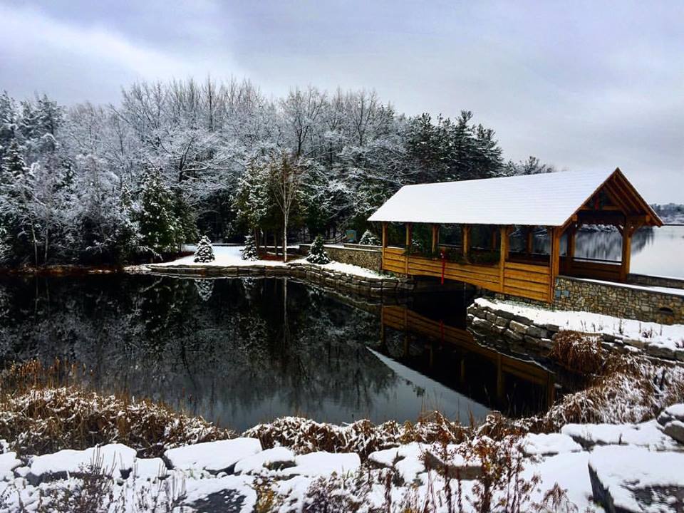 5 Tips to Winter Forest Bathing in Alpena