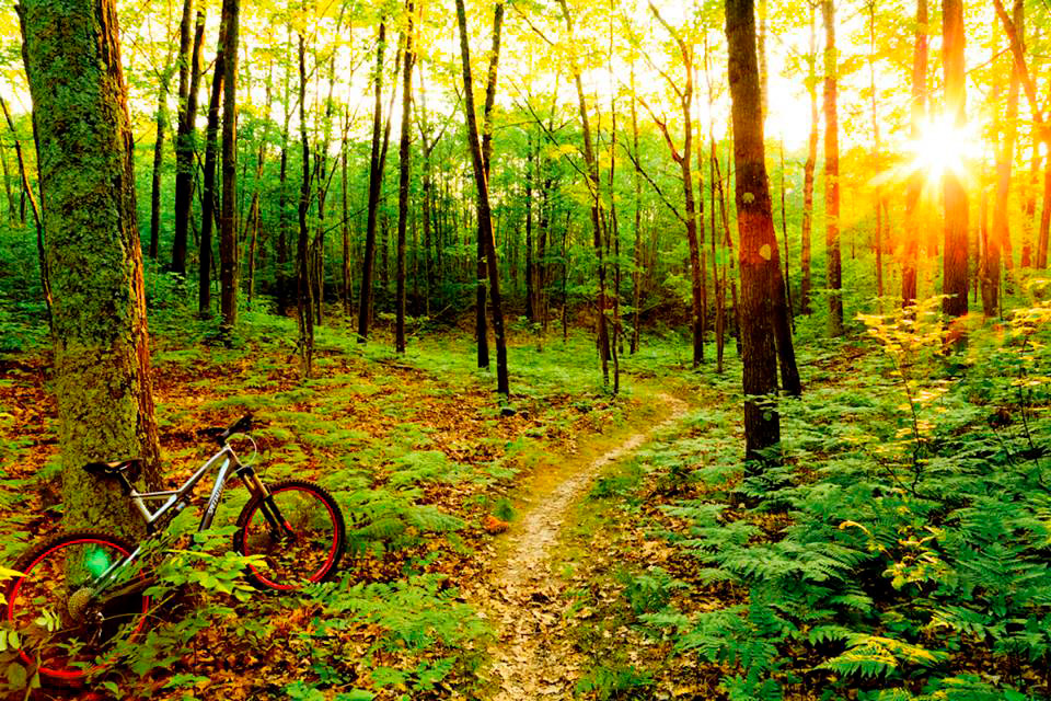 Chippewa Hills Pathway