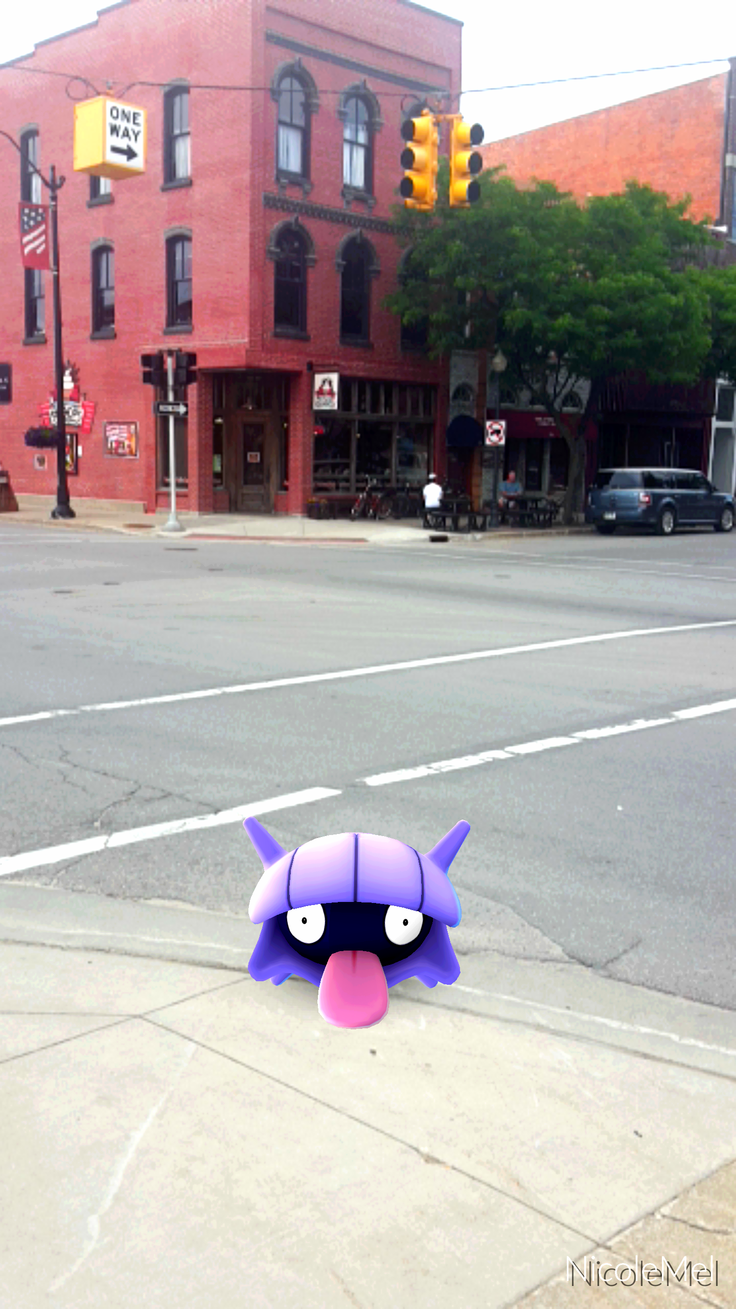 Pokémon GO Hits Alpena…Gotta Catch ‘Em All!