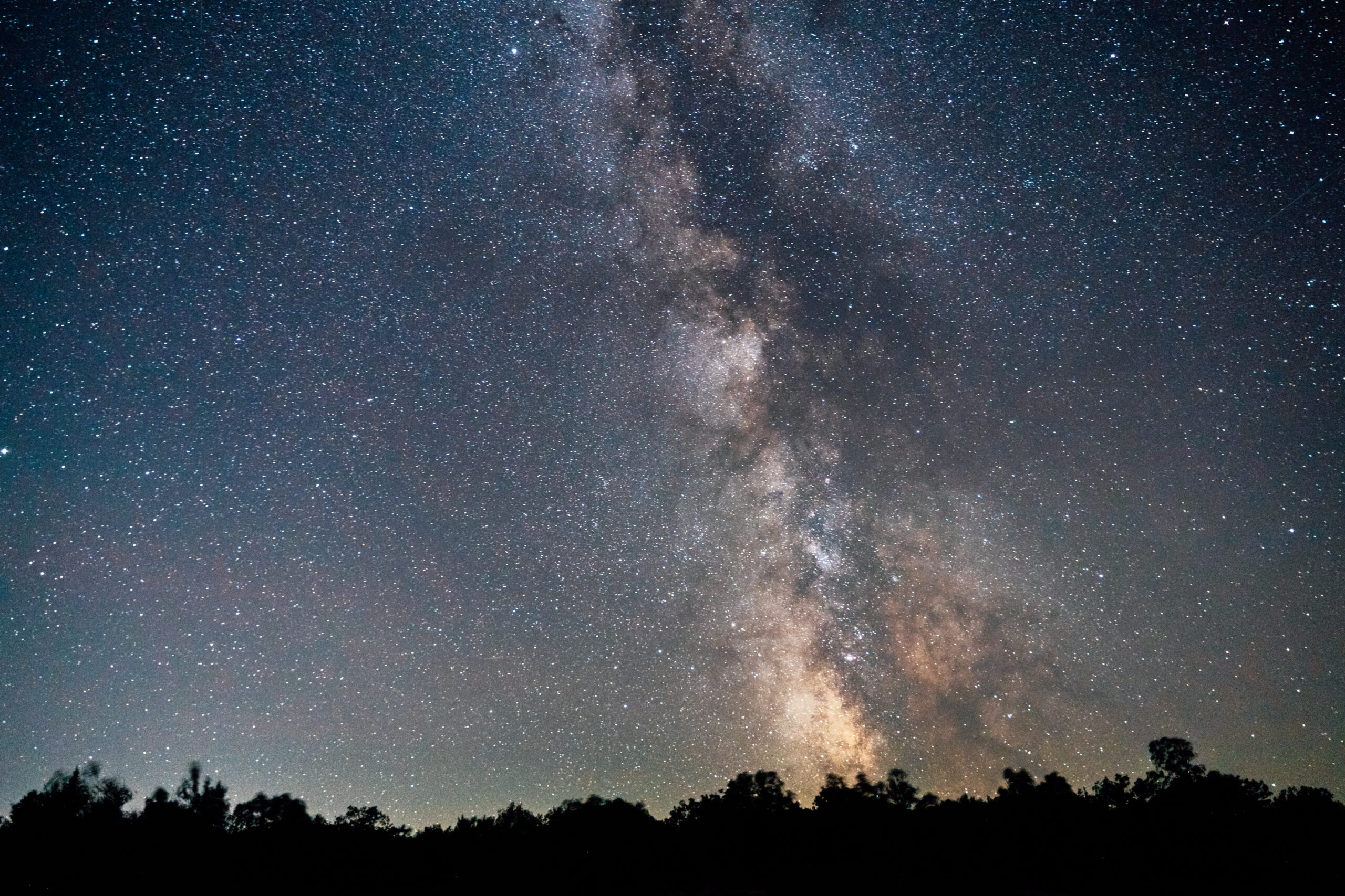 We Saved You A Seat for the Leonid Meteor Shower!