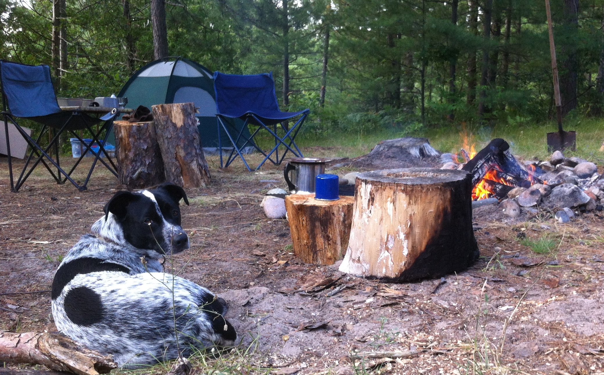 Top 5 Camping Hotspots in the Sanctuary of the Great Lakes!