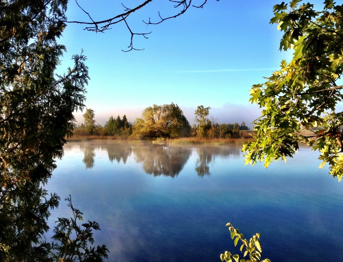 Find Refuge on Island Park