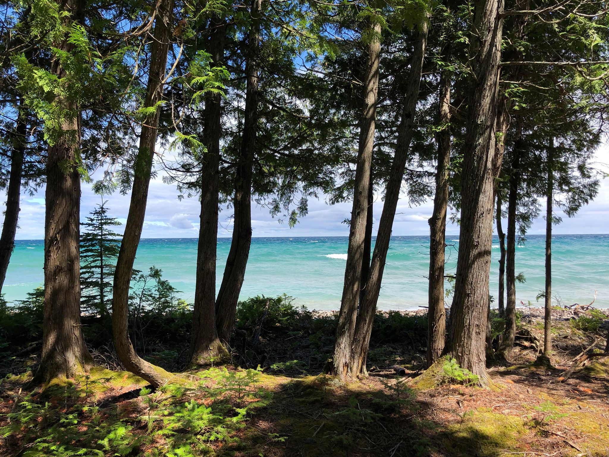How to Make the Most Out of a Day Trip to Presque Isle County
