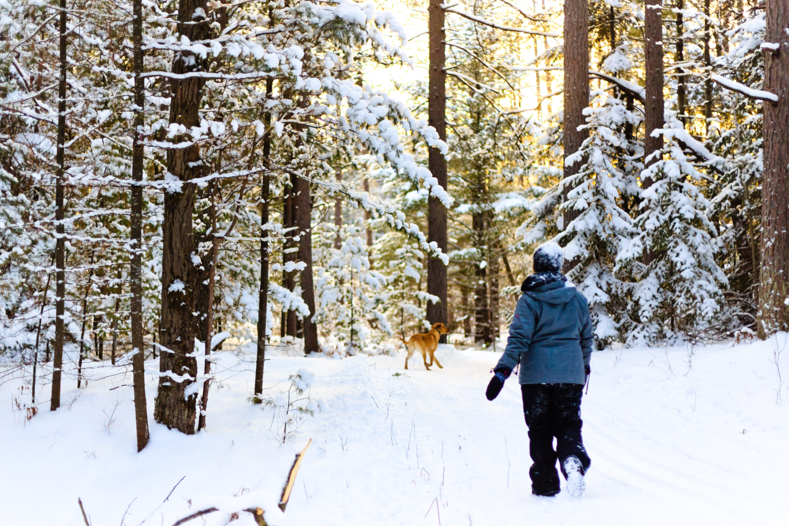 10 Ideas For Winter Adventure in Alpena