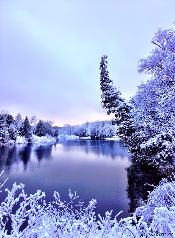 New to Forest Bathing? Here are 5 Tips to Winter Forest Bathing in Alpena