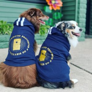 2 dogs with Neighborhood Provisions clothing on