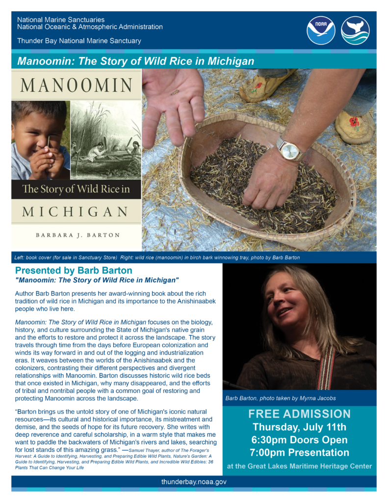 Manoomin The Story of Wild Rice in Michigan Visit Alpena